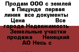 Продам ООО с землей в Пицунде, первая линия, все документы › Цена ­ 9 000 000 - Все города Недвижимость » Земельные участки продажа   . Ненецкий АО,Несь с.